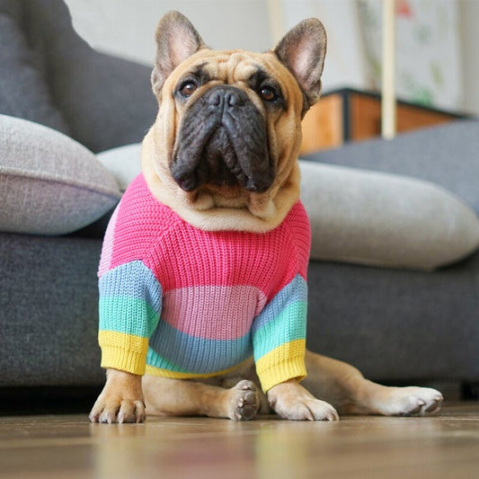Blusão de Lã Colorido Para Cachorro - Livvy R - ROUPA - 125
