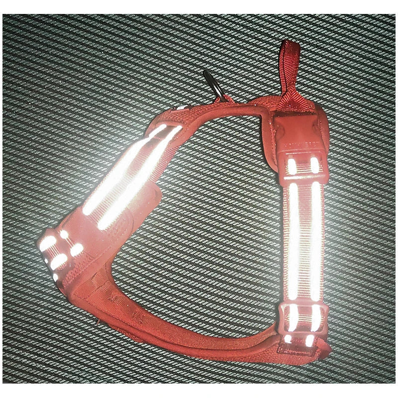 Peitoral Refletivo para Cães Luna LN5652 C - COLEIRA - 17