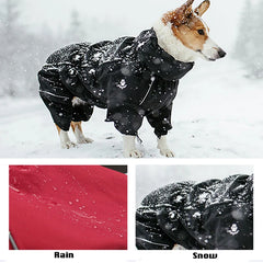 Macacão de Chuva para Cães Full Body com Costuras Seladas