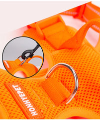 Peitoral Refletivo para Cães Luna LN5652 C - COLEIRA - 17