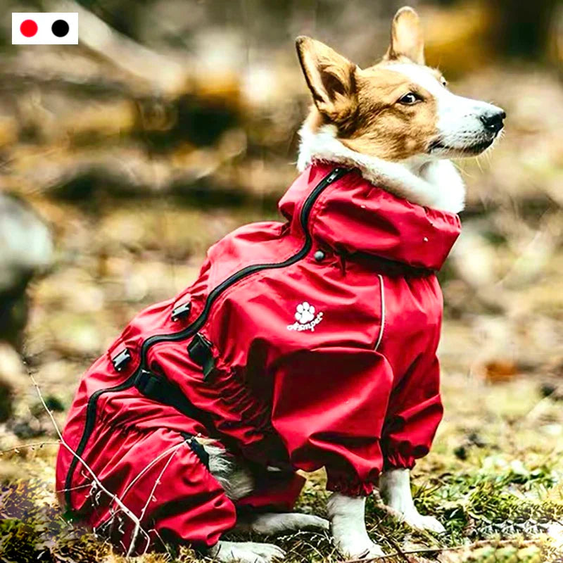 Casaco Impermeável Para Cachorro - Louie R - ROUPA - 47
