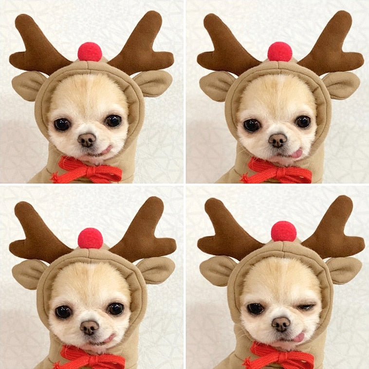 Moletom Pet Rena -Fluffy R - ROUPA - 130