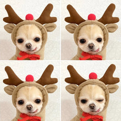 Moletom Pet Rena -Fluffy R - ROUPA - 130