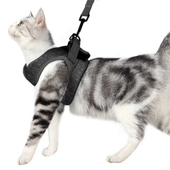 Peitoral Para Gato Com Guia Ajustável E Fecho Seguro