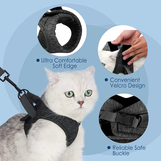 Peitoral Para Gato Com Guia Ajustável E Fecho Seguro