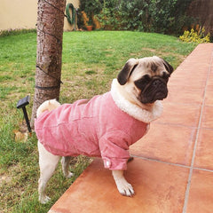 Jaqueta Pet Elegante Kivon R - ROUPA - 112