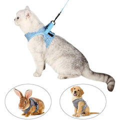 Peitoral Para Gato Com Guia Ajustável E Fecho Seguro
