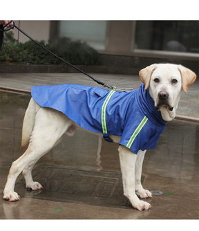 Capa de chuva para cachorros com faixa refletiva DryPet