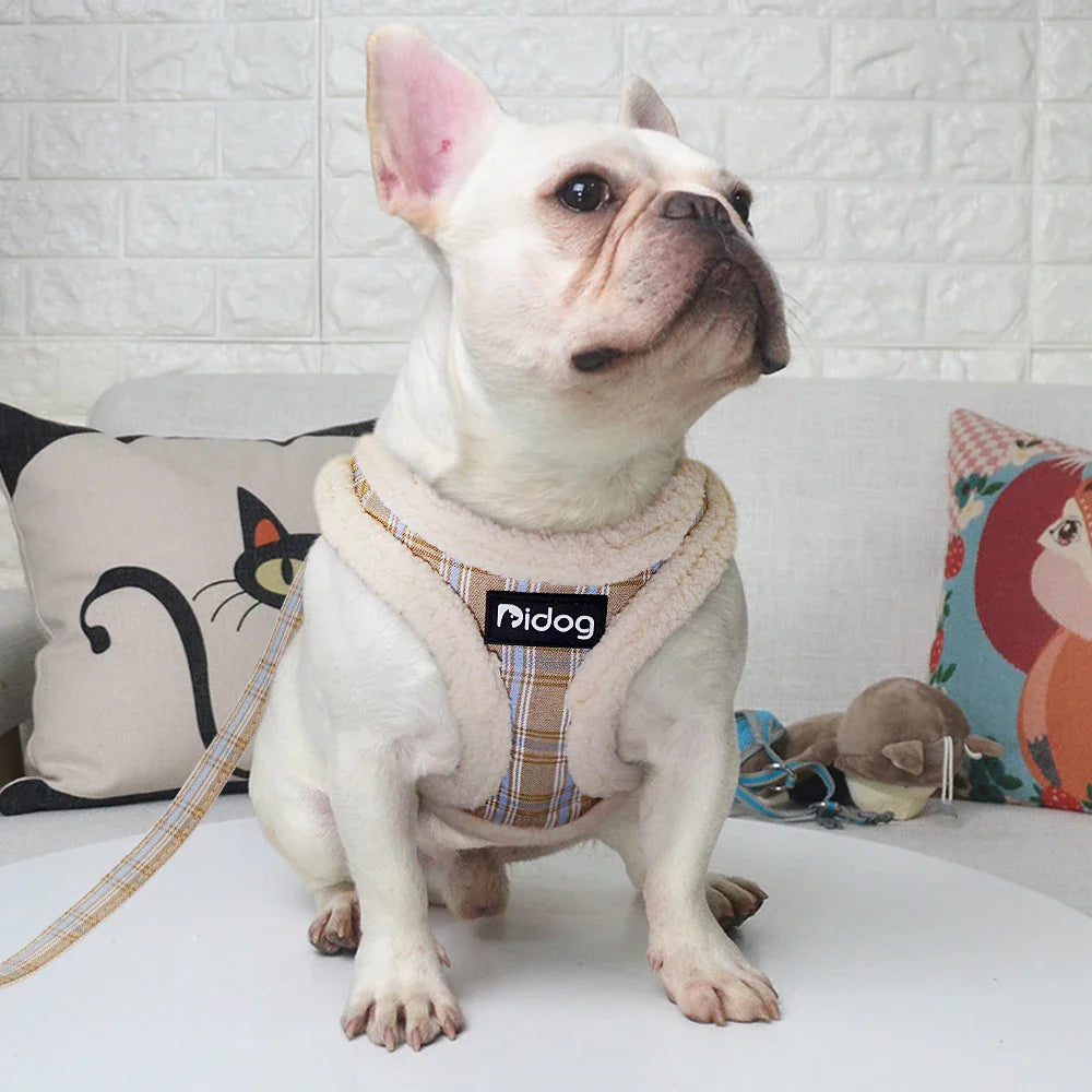 Peitoral Peluciado Com Guia Para Cães - Saur C - PEITORAL - 08