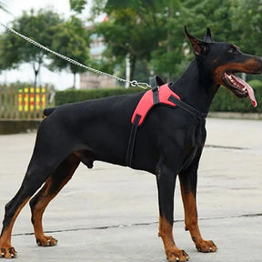 Peitoral Refletivo para Cachorro