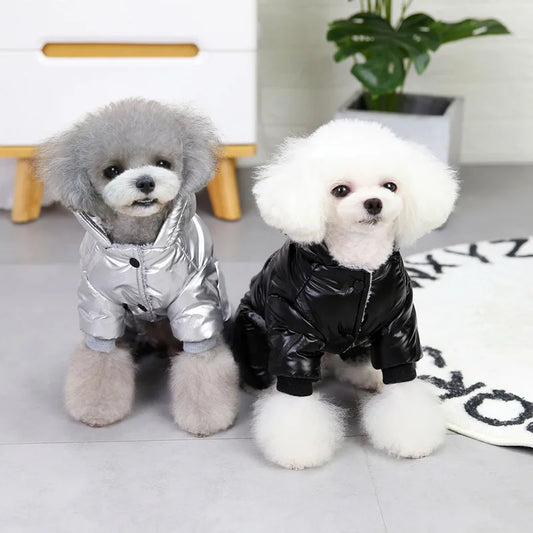 Roupa Térmica para Cães com Estilo Prático e Seguro