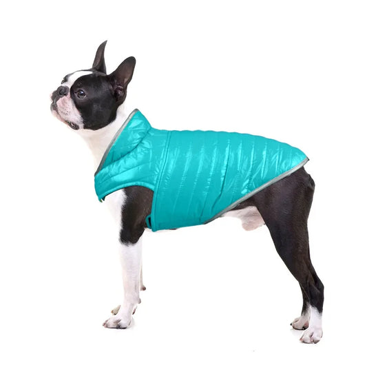 Roupinha de Inverno para Cachorro com Dupla Face