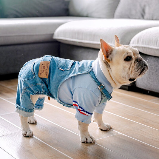 Macacão Jeans Pet - Verdi R - ROUPA - 121