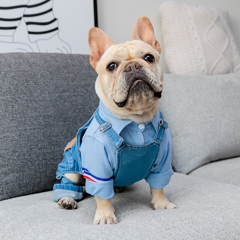 Macacão Jeans Pet - Verdi R - ROUPA - 121