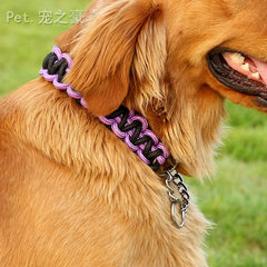 Coleira Colorida com Colar para Cachorro - Rainb C - COLEIRA COLORIDA - 01
