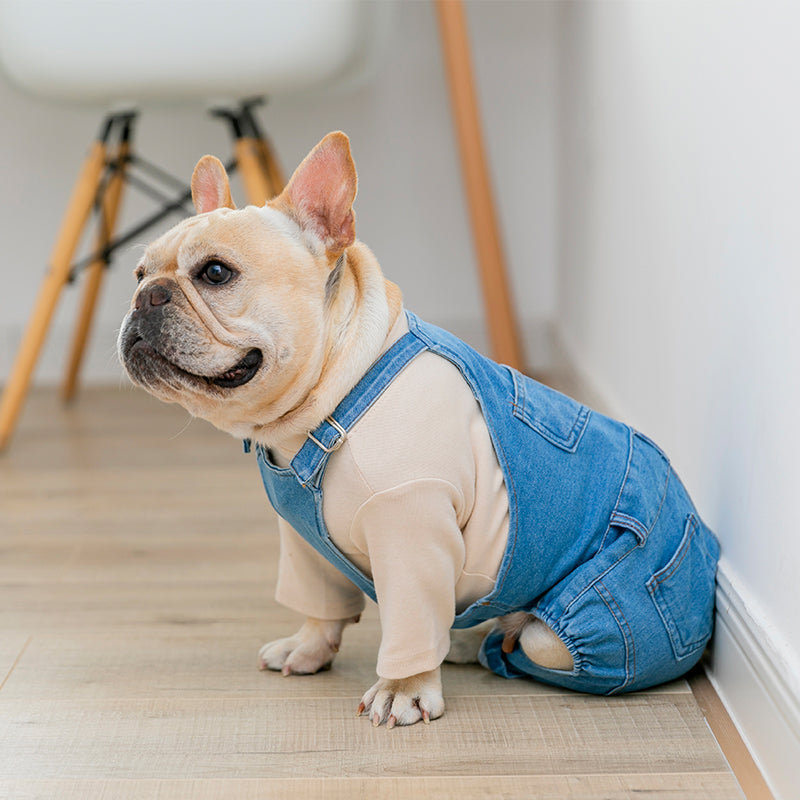 Macacão Jeans Pet - Verdi R - ROUPA - 121