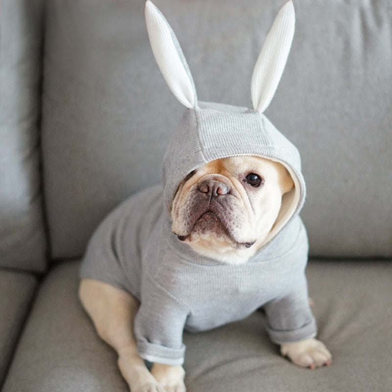 Blusão Pet Para Cães e Gatos - Funni R - ROUPA - 119