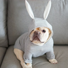 Blusão Pet Para Cães e Gatos - Funni R - ROUPA - 119