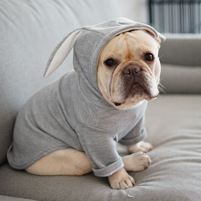 Blusão Pet Para Cães e Gatos - Funni R - ROUPA - 119