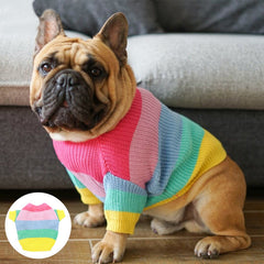 Blusão de Lã Colorido Para Cachorro - Livvy R - ROUPA - 125