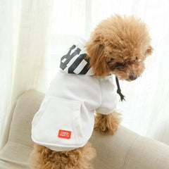 Moletom Pet Tovi R - ROUPA - 114