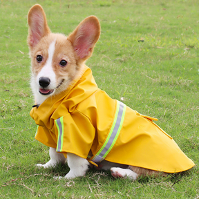 Capa de chuva para cachorros com faixa refletiva DryPet