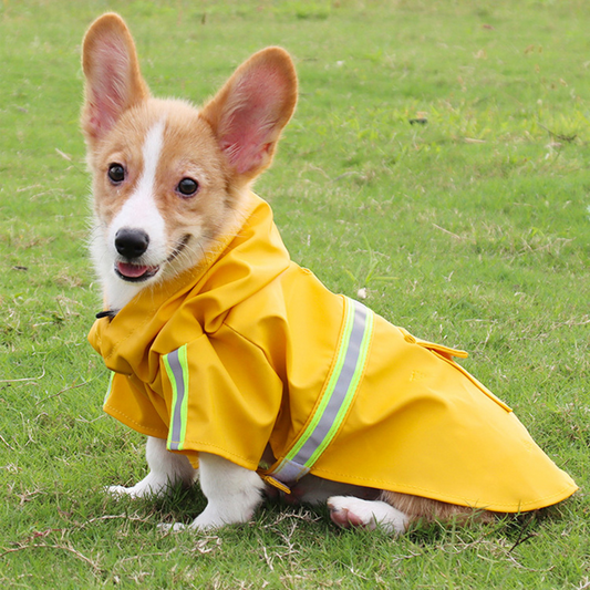 Capa de chuva para cachorros com faixa refletiva DryPet CC - 02