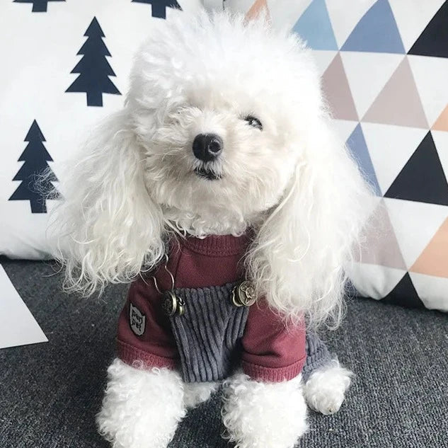 Macacão Para Cachorro - Dallas R - ROUPA - 71