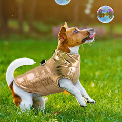 Casaco Impermeável para Cães Pequenos — Jaqueta de Inverno