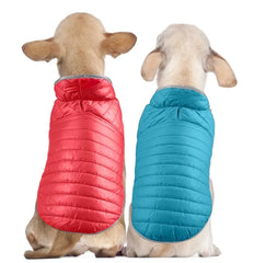 Roupinha de Inverno para Cachorro com Dupla Face