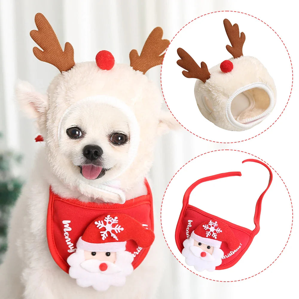 Babador e Gorro Para Pet - Hank R - ROUPA - 70
