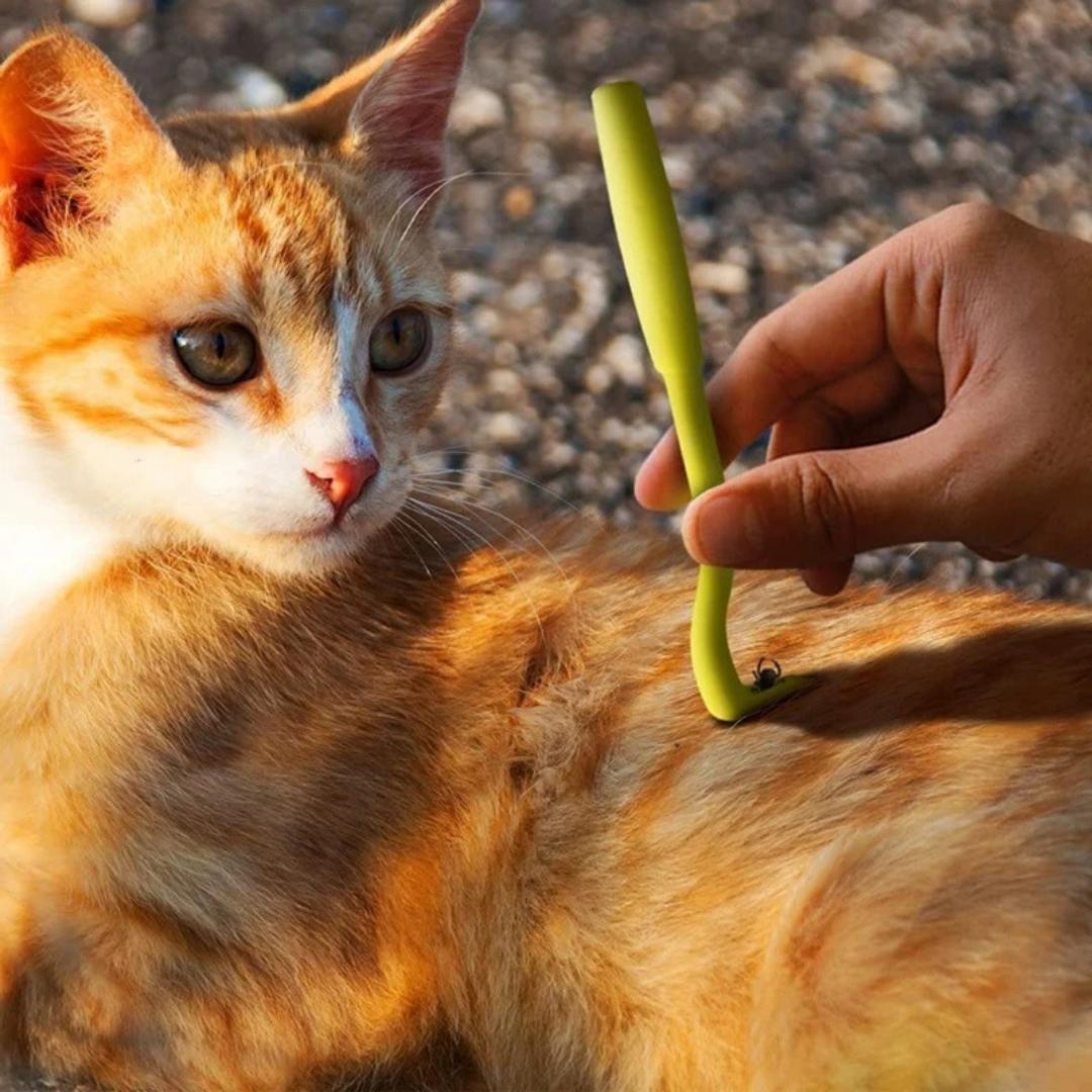 Kit removedor de carrapato para pet