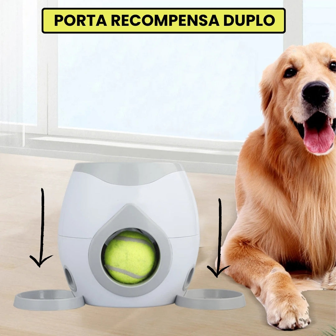 Lançador de Bolinhas Para Cachorros Pet  BolaFetch