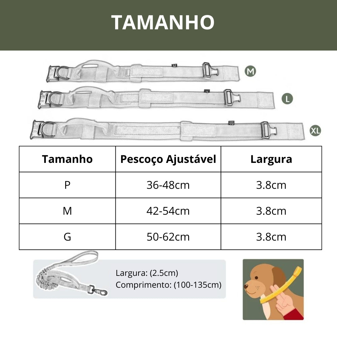 Coleira e Guia de Treinamento para Cachorro