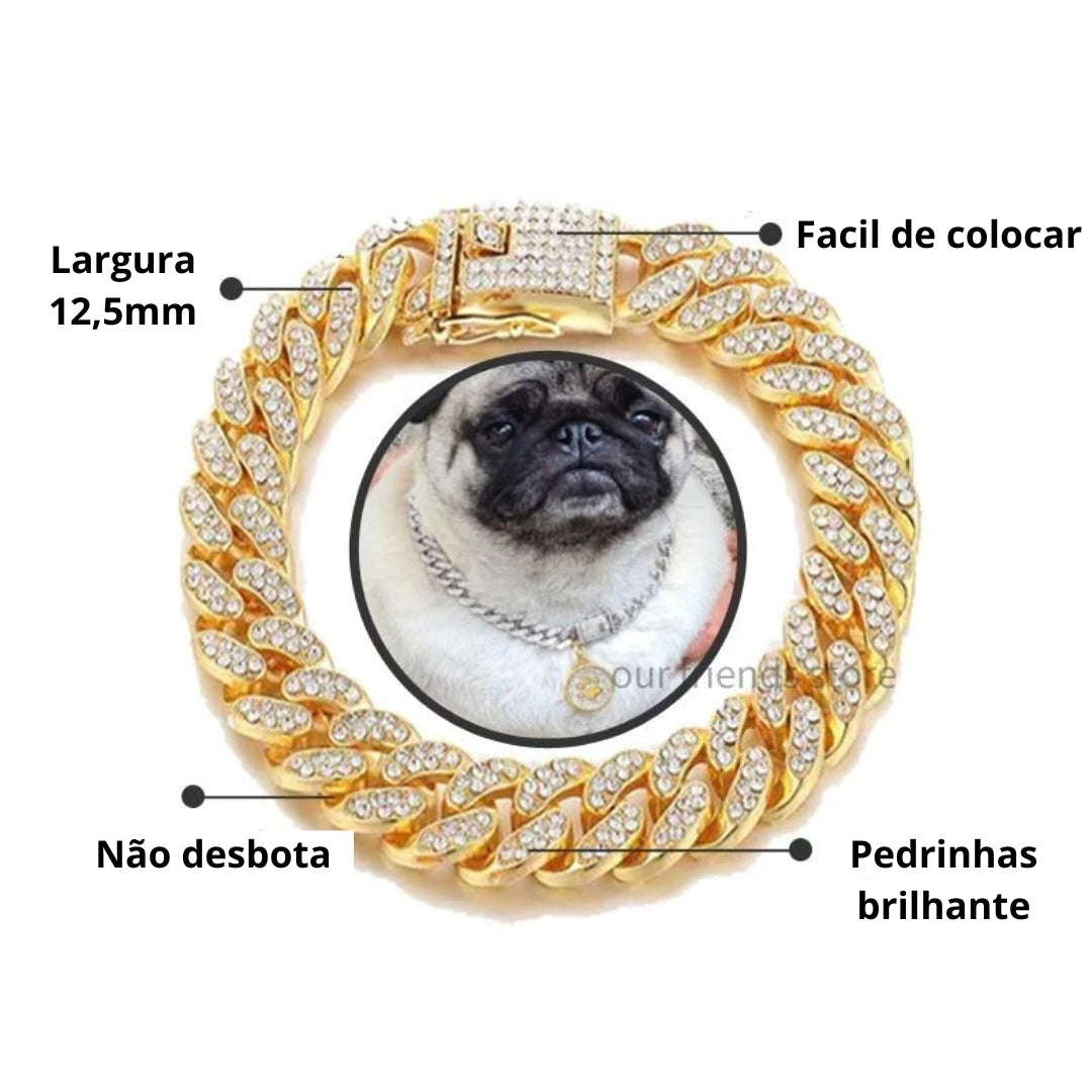 Coleira para Cachorro Dourada e Brilhante