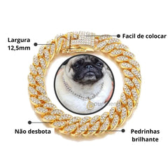 Coleira para Cachorro Dourada e Brilhante C - COLEIRA COLAR - 02