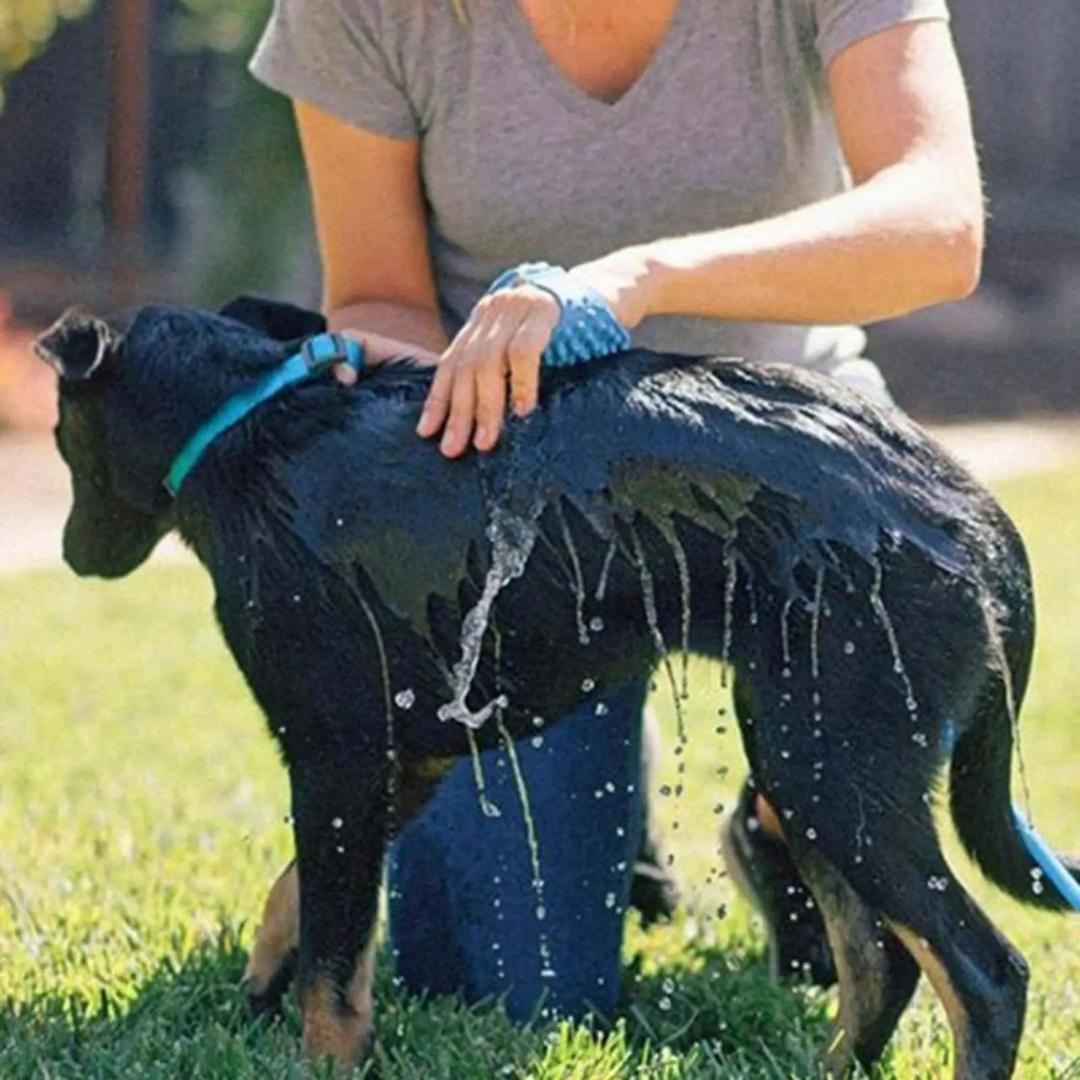 Mangueira com luva massageadora para pets AquaSpa AM - 04