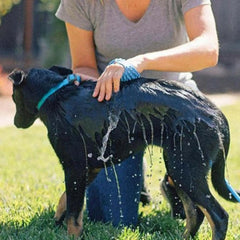 Mangueira com luva massageadora para pets AquaSpa AM - 04