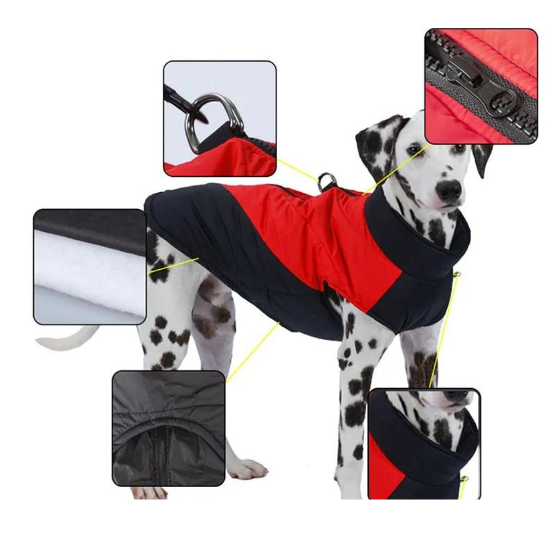 Corta Vento Para Cachorro Com Suporte Para Guia - Finn R - ROUPA - 42