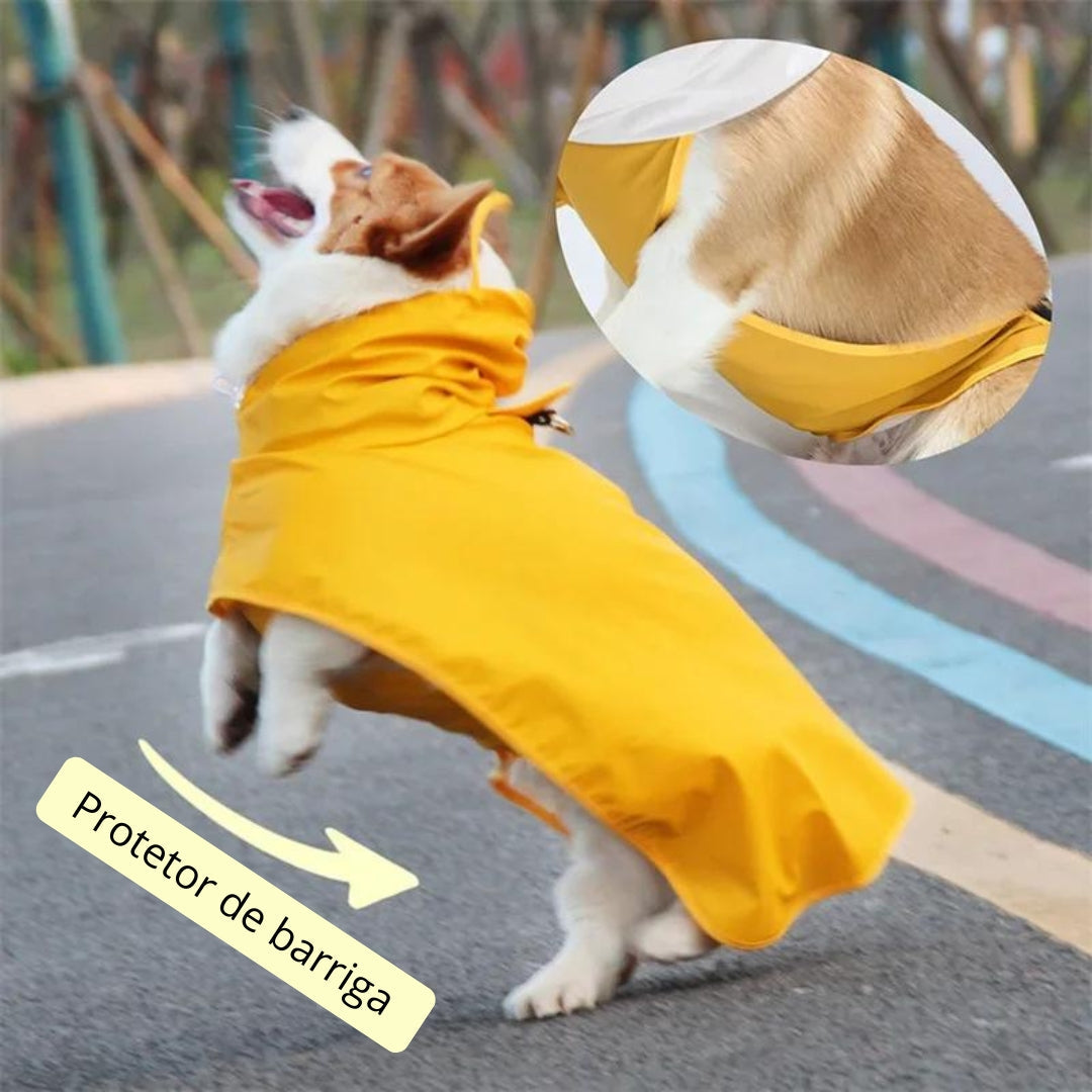 Capa de Chuva Para Cachorro - Zeus R - ROUPA - 43