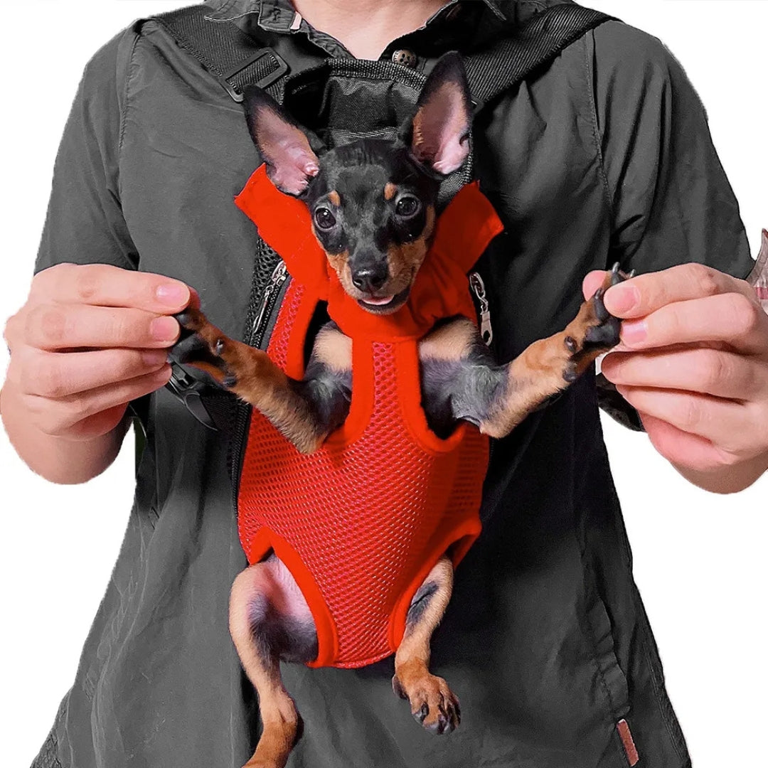 Mochila canguru para cachorros e gatos PetVenture AM - 01