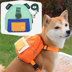 Mochila para cachorro com guia peitoral incluso PetPack Verde / P C - mochila - 01