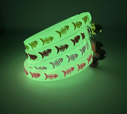 Coleira para gatos e cães de pequeno porte que brilha no escuro com sino NightGlow CL - 01