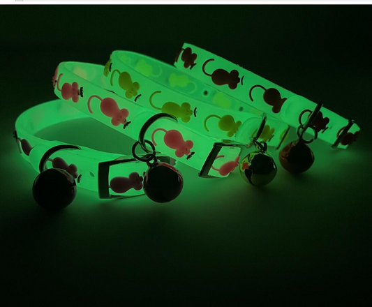 Coleira para gatos e cães de pequeno porte que brilha no escuro com sino NightGlow CL - 01