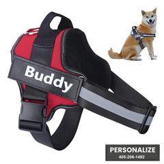 Peitoral Personalizado Para Cachorros Luna Vermelho / PP C - Personalizado - 01