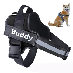 Peitoral Personalizado Para Cachorros Luna Preto / PP C - Personalizado - 01