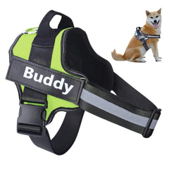 Peitoral Personalizado Para Cachorros Luna Verde Claro / PP C - Personalizado - 01