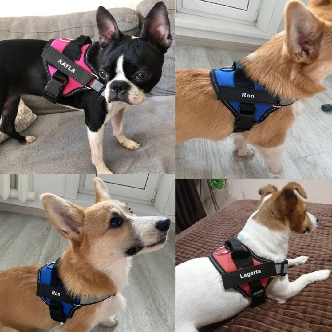 Peitoral Personalizado Para Cachorros Luna