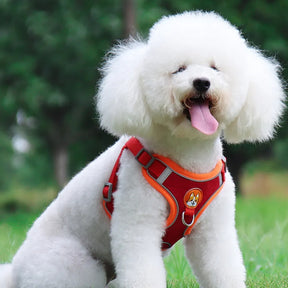 Peitoral Refletivo com Guia para Cães LumiCollar