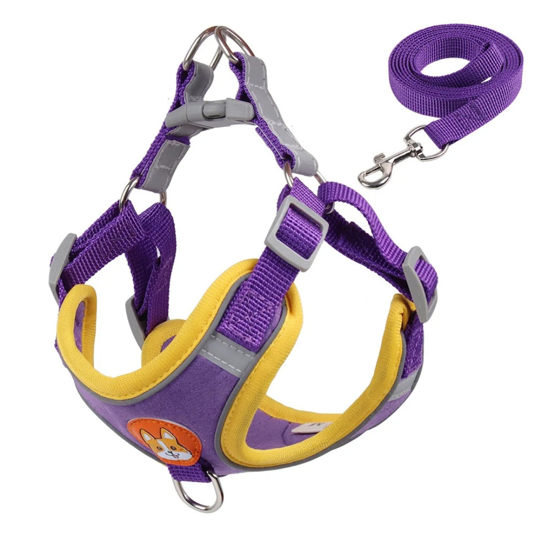 Peitoral Refletivo com Guia para Cães LumiCollar Roxo / P 2-3 kg AP - 02